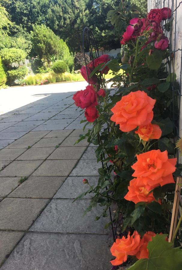 Klidne A Utulne Ubytovani Brno Stary Liskovec Exteriör bild
